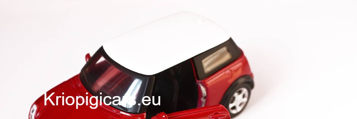 kriopigicars.eu